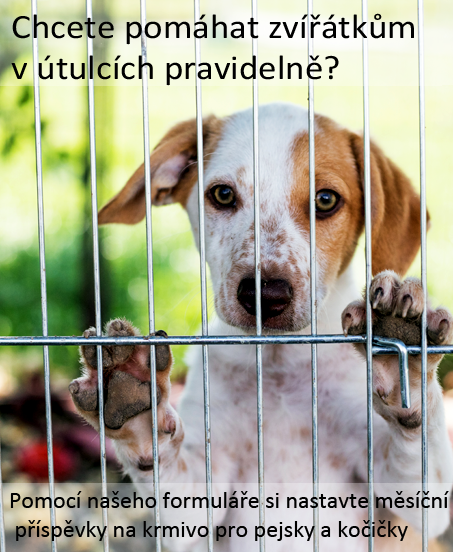 pravidelný příspěvek_1